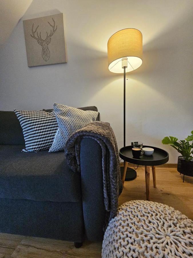 Horsky Apartman Miki Filipovice Exterior foto